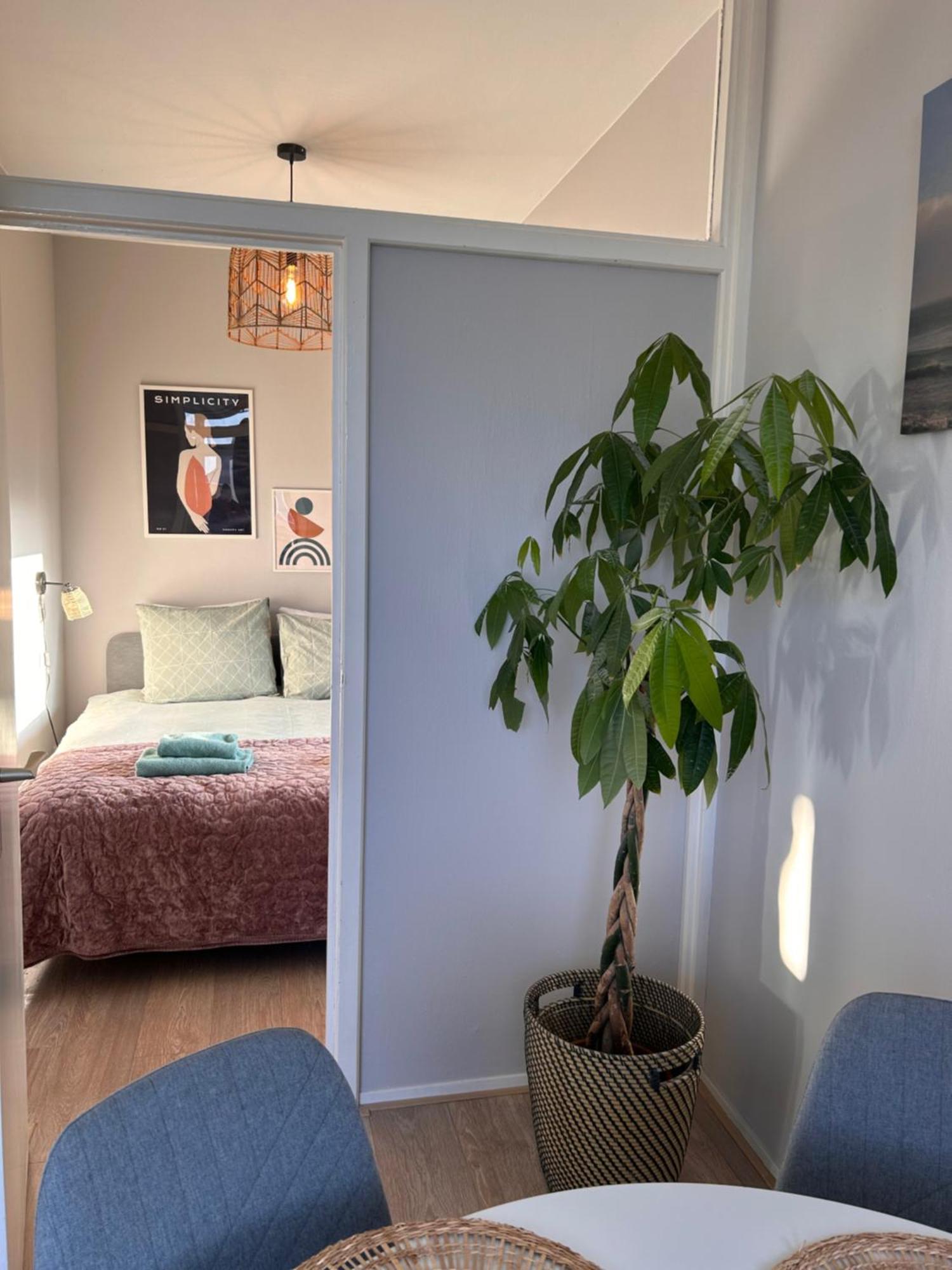 Amsterdam Beach Apartment 17, Incl Parking + Garden Zandvoort Exterior photo